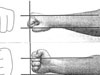 Analisis sobre el golpe vertical y horizontal