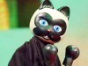 El gato de Verdaguer