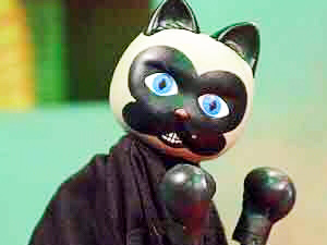 El gato de Verdaguer
